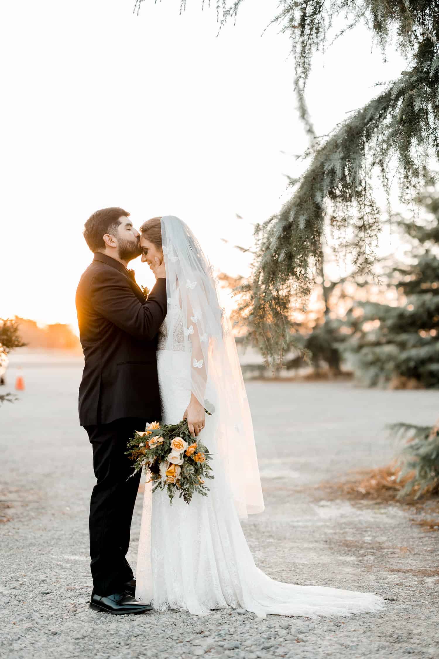 A bride and groom kiss in front of a tree at sunset.